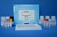 Drug Testing Gentamicin ELISA Test Kit High Recovery Reagent Type 0.02ppb Sensitivity